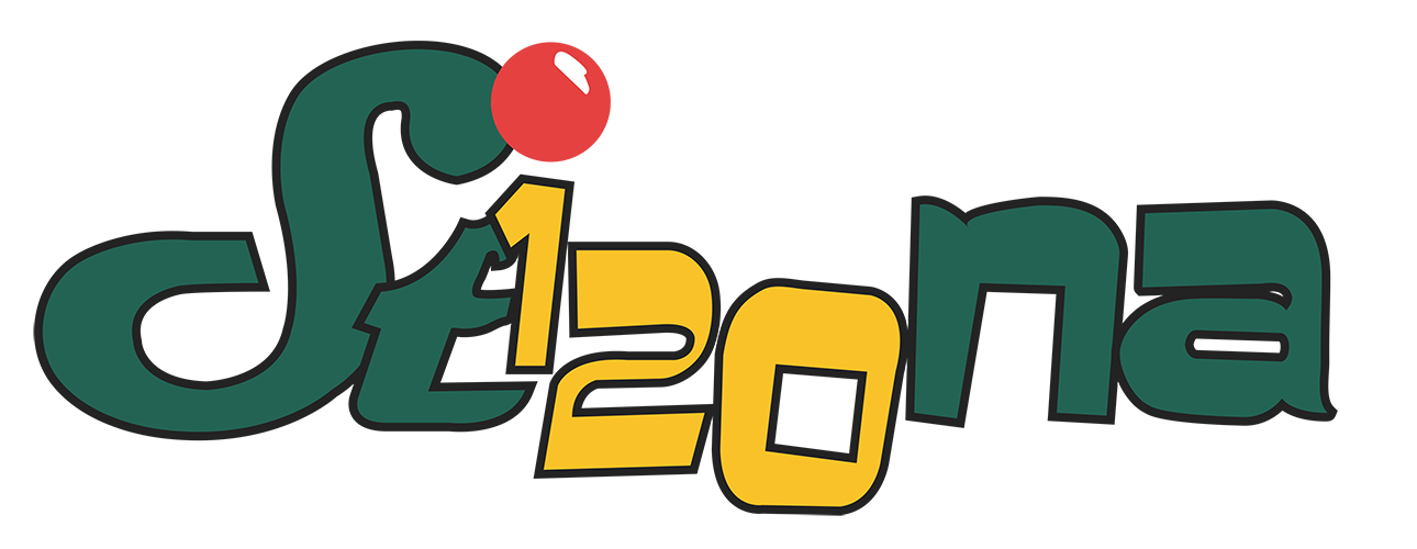Stizona Logo